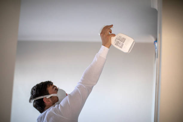 Best Local Mold Removal Service  in Gloucester Courthouse, VA
