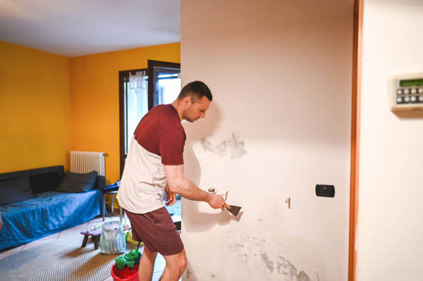 Best Toxic Mold Removal  in Gloucester Courthouse, VA